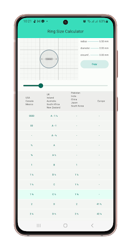 Ring Scale Screen 2