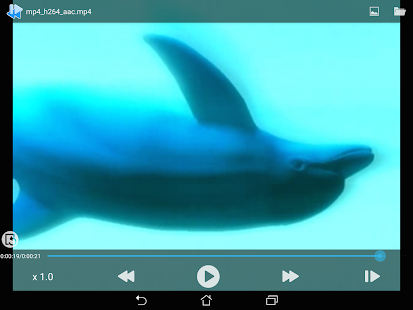 Slow motion/Frame Player Screenshot