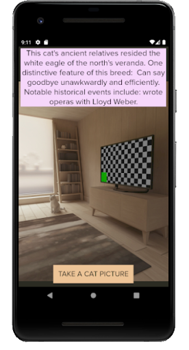 Android application Cat type identifier screenshort