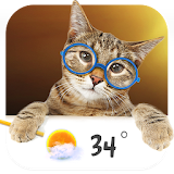 Cat weather widget icon