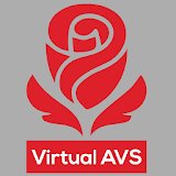 Virtual AVS icon