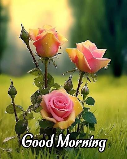 Good Morning Wishes Images Screenshot 1 - AppWisp.com