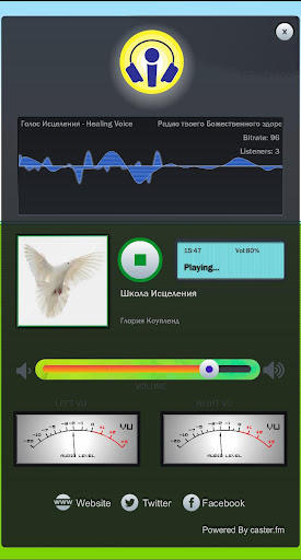 Голос Исцеления - Healing Voi Screen 2