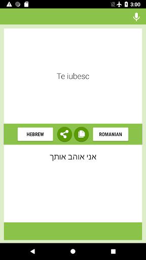 Hebrew-Romanian Translator Screen 2