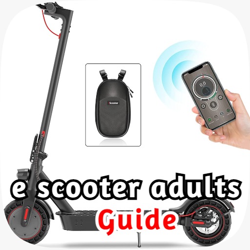 e scooter adults guide