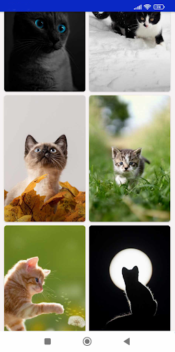 Cat Wallpaper Screen 3