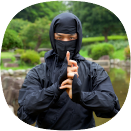 Image de l'icône Guide de ninjutsu