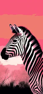 Zebra Wallpapers