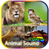 Animal Sounds All in One icon