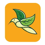 Cover Image of 下载 Fly VPN 1.0.3 APK