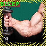 Big Biceps Workout:Tips icon