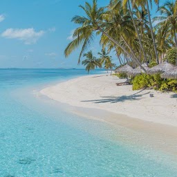 Beach phone wallpapers