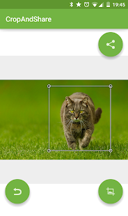 Crop And Share(圖1)-速報App