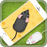 Games for the cat Mouse icon