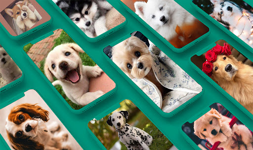 Puppy & Dog Wallpapers HD Screenshot 1 - AppWisp.com
