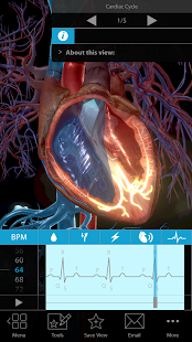 Physiology & Pathology(圖1)-速報App