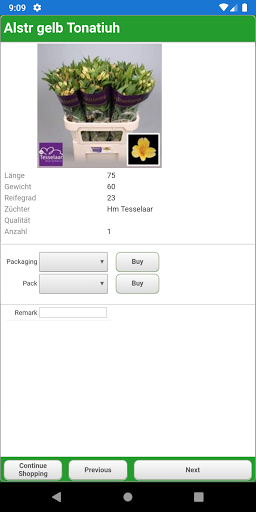 Willeke Blumen Screen 3