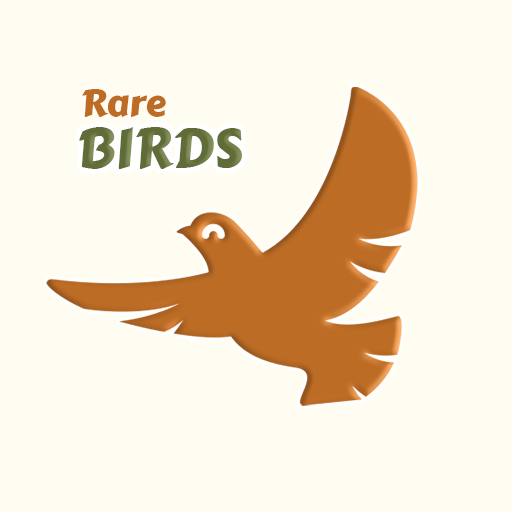 Rare birds - discover the rare logo