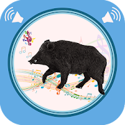 Top 25 Entertainment Apps Like Wild Boar Sounds - Best Alternatives