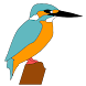 野鳥検索図鑑 - Androidアプリ