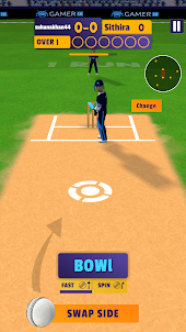 Cricket Sixes