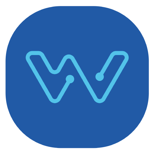 NETWISE INTERNET logo