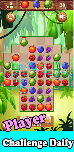 Fruits Match 3 Master Screen 2