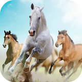 Horses Live Wallpaper icon