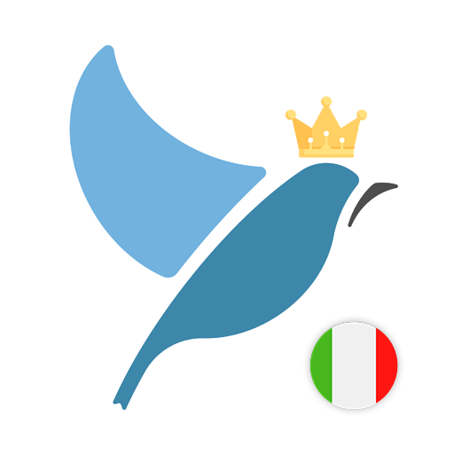 Italian Language Tests logo