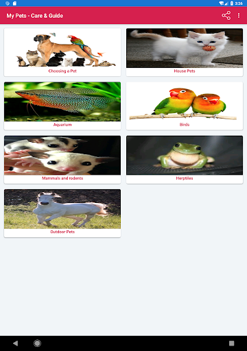 My Pets - Care and Guide