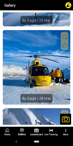 Silverton Mountain Guides Screen 2