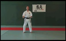 Kyokushin - Stances & Movesのおすすめ画像4