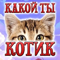 Тест: Какой ты Котик - Шутка