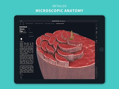 Complete Anatomy 2022 Screenshot