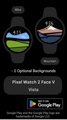 Pixel Watch 2 Face V Screen 3