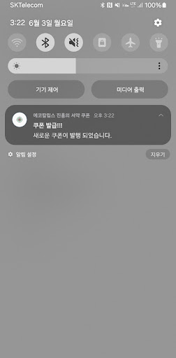 에코칼립스 진홍의 서약 쿠폰 Screen 2