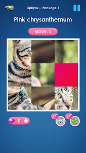 Cat slide puzzle: piece match