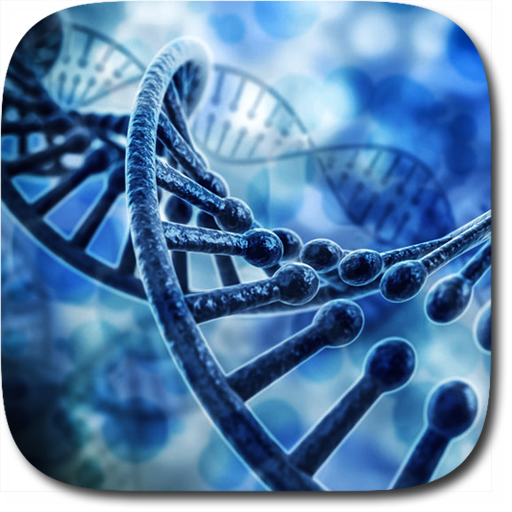DNA 3D Live Wallpaper  Icon