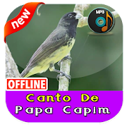 Top 38 Music & Audio Apps Like Canto De Papa Capim - Best Alternatives