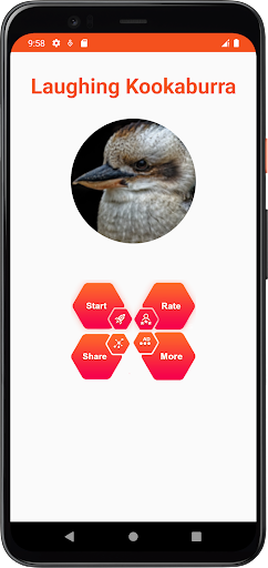 laughing kookaburra Sounds Screen 2