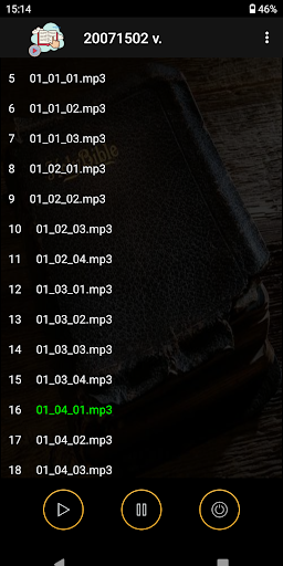 VAudioBook Player Screen 3