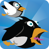 Angry Crow and Son icon
