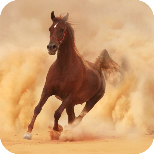 Horse Wallpaper HD – Apps bei Google Play
