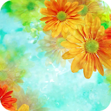 Colorful Flower Theme Android icon