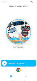Frantic Vybes Radio poster 1