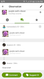 iNaturalist 1.23.21 APK screenshots 4