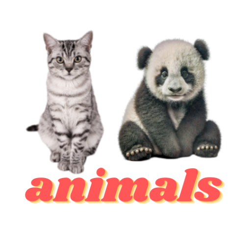Animal Doctor logo