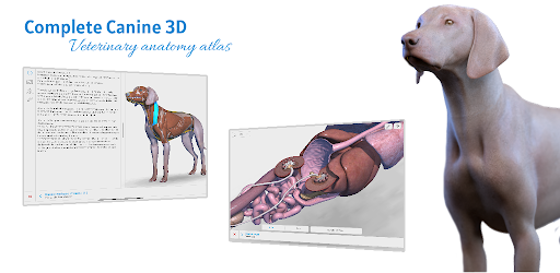 Complete Canine 3D - anatomy