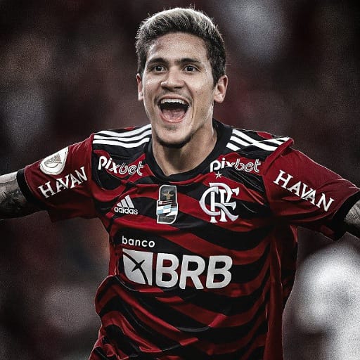 Pedro Guilherme 4K Wallpaper