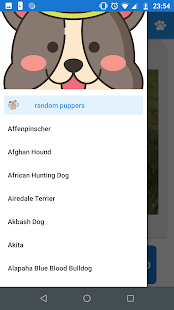 Rare Puppers(圖4)-速報App